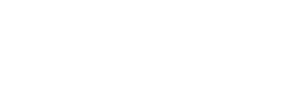 Lennu NET -logo
